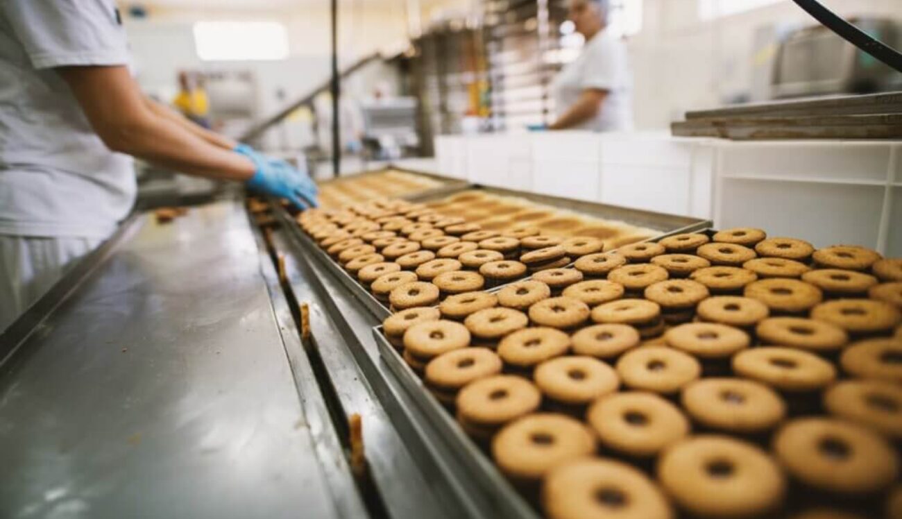 Food Ingredient Solutions for Manufacturers