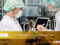 Food-Ingredient-Solutions-for-Manufacturers